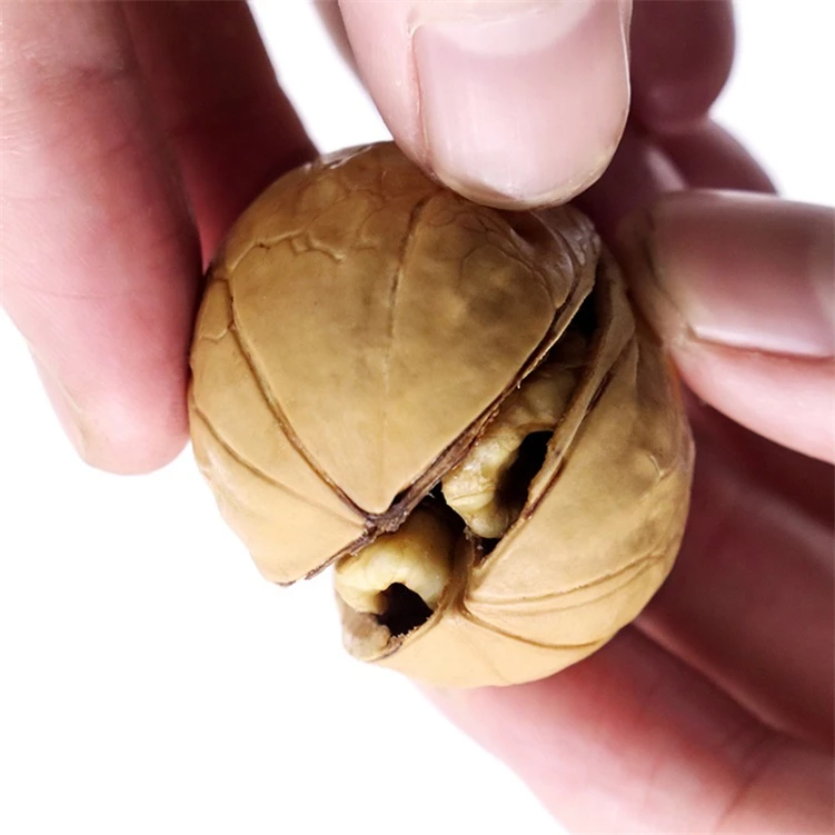 Top Grade Walnuts High Quality Walnut Kernels And Thin-skinny Walnut With Shell In Bulk