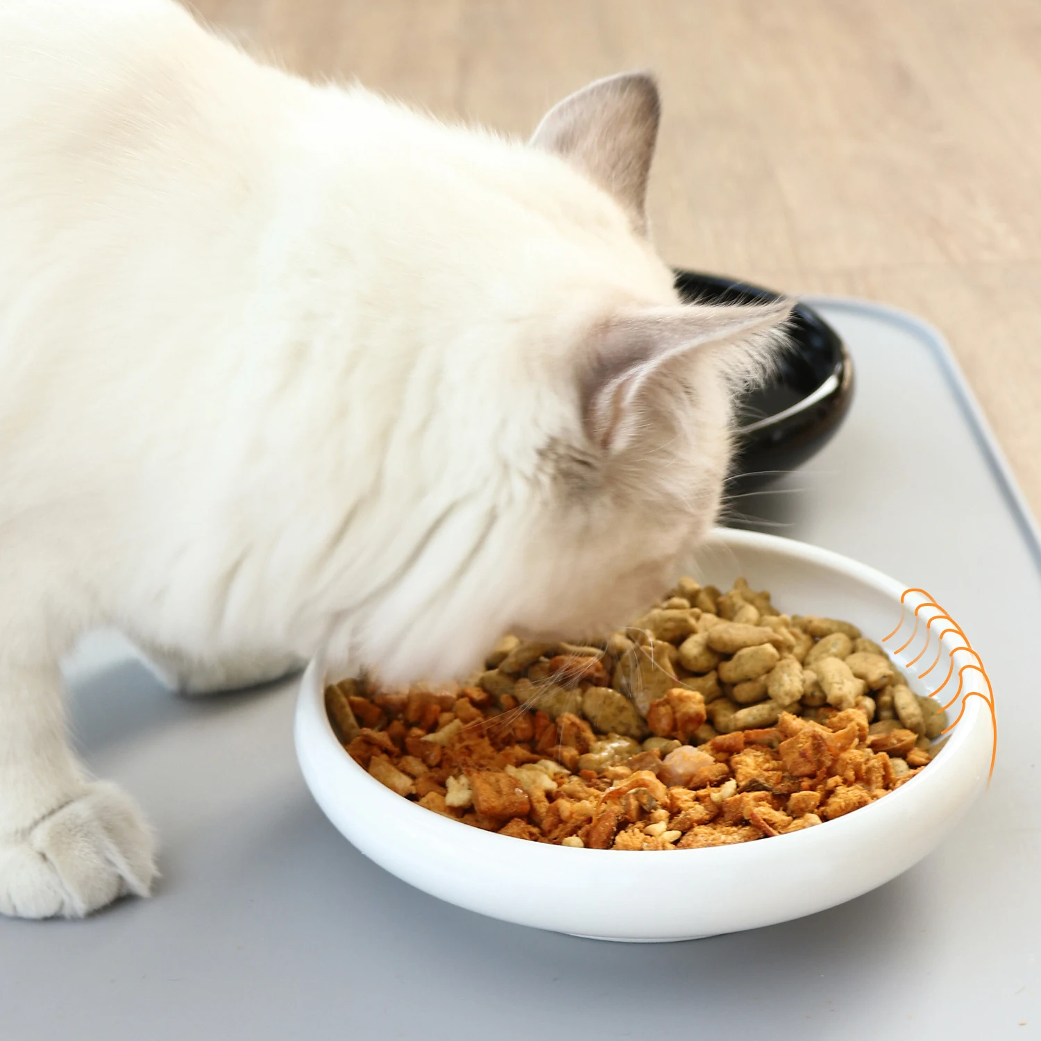 Pet Bowl Porcelain Ceramic Pet Food Bowl For Small Animal