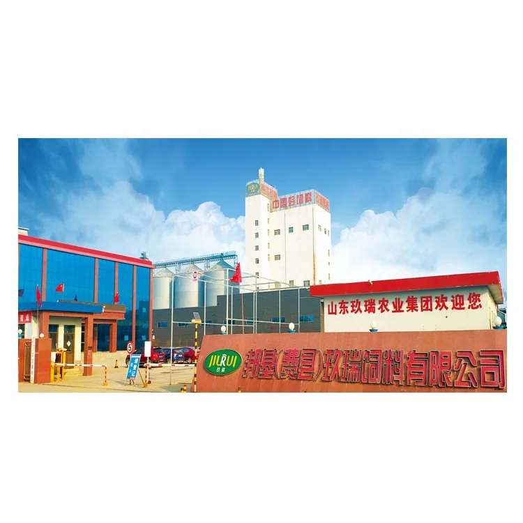 Factory Price C10h24n2o6s2ca Feed Grade Multivitamins N-hydroxymethyl-methionine Calcium