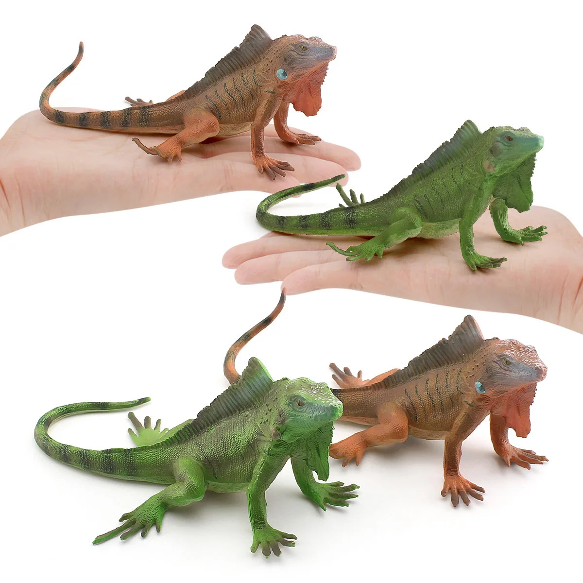 - simulation of wild reptile lizard model children cognitive American iguana decorative toys