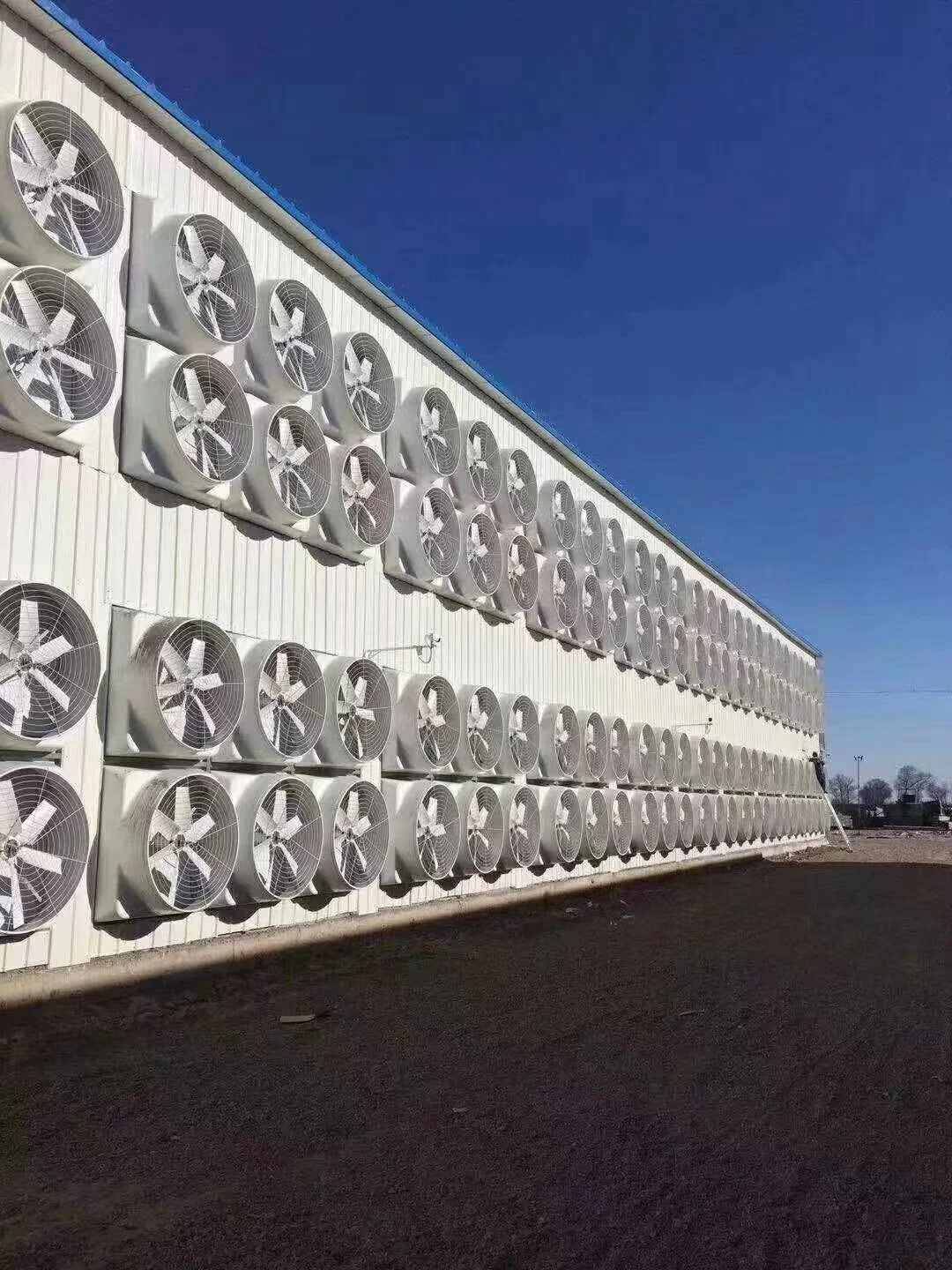 Poultry tunnel vent ventilation exhaust fan for Poultry farming or Greenhouse FRP Ventilation Exhaust Fan