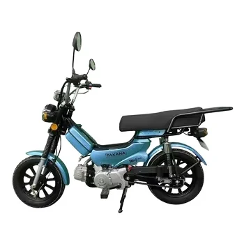 Mini Fuel Motorcycle for Adults Now on Sale with Advanced Electric Injection for Seamless Riding