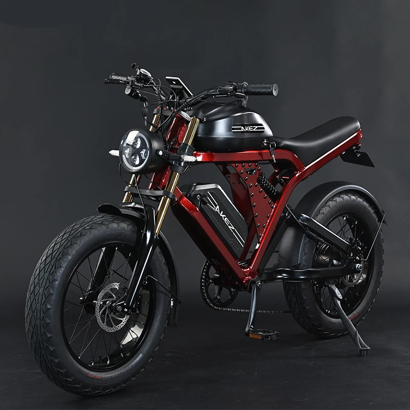 52V1500W 55Ah 55km/h ebike Aluminum alloy frame 20inch fat off-road tires electric motorcycle long range motorbike for adults