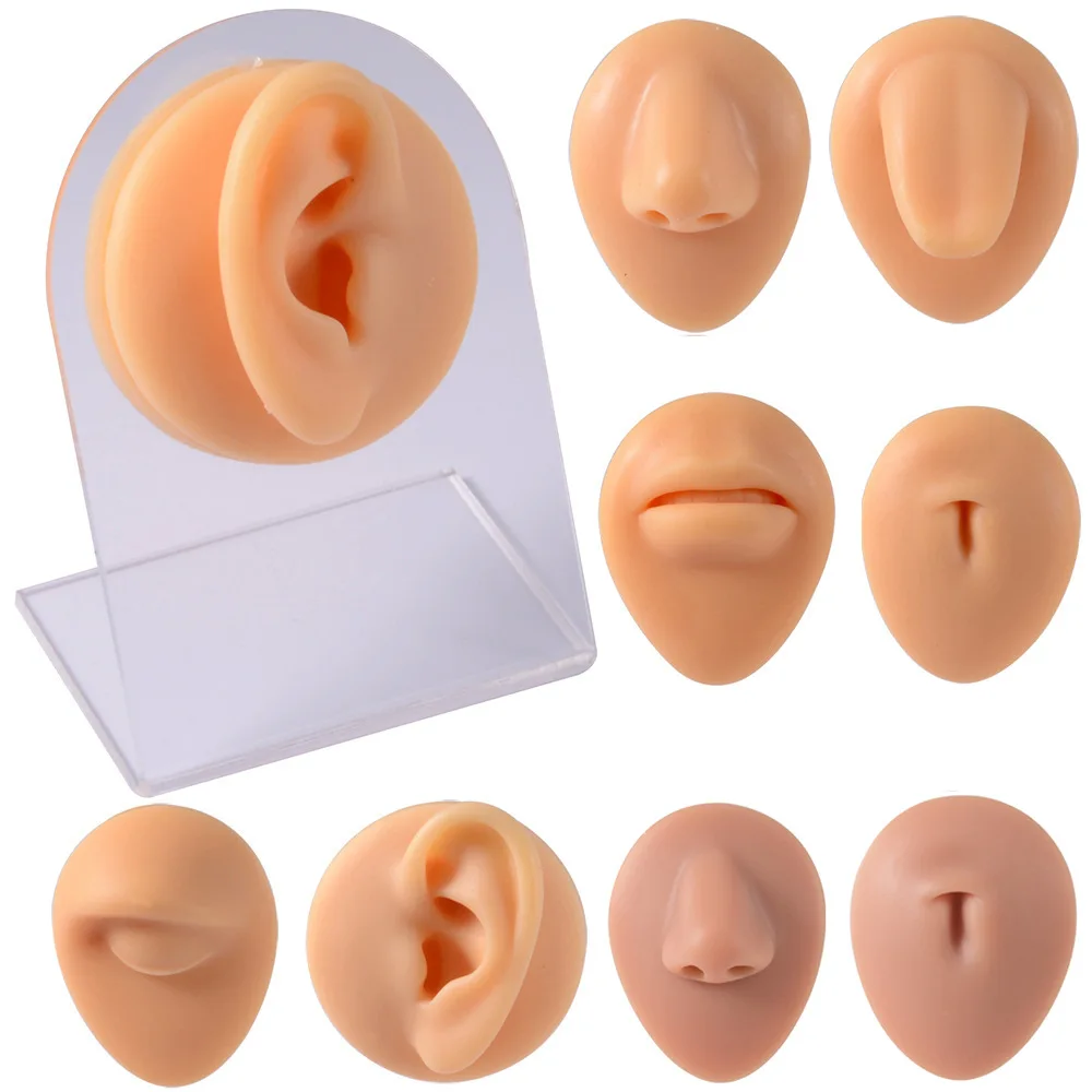 Wholesale Piercing Display Silicone Human Body Part Simulation Model With Display Stand Use For Tattoo Puncture Practice