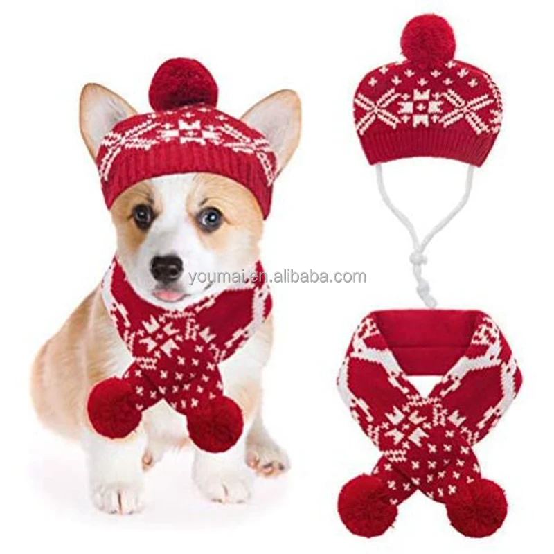 PU105129 Dog hat1