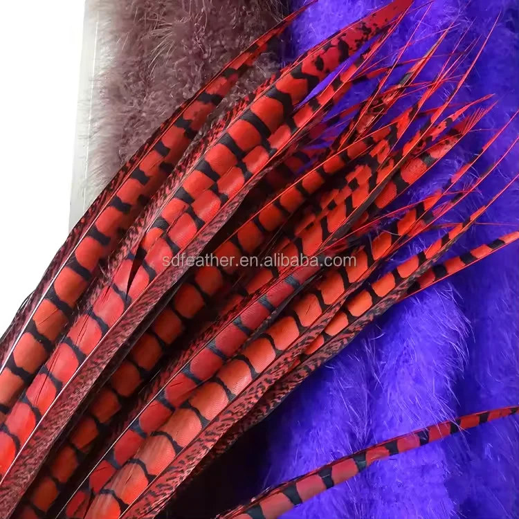 Lady Amherst Pheasant Feathers for Sale Large White Feathers Big Feathers