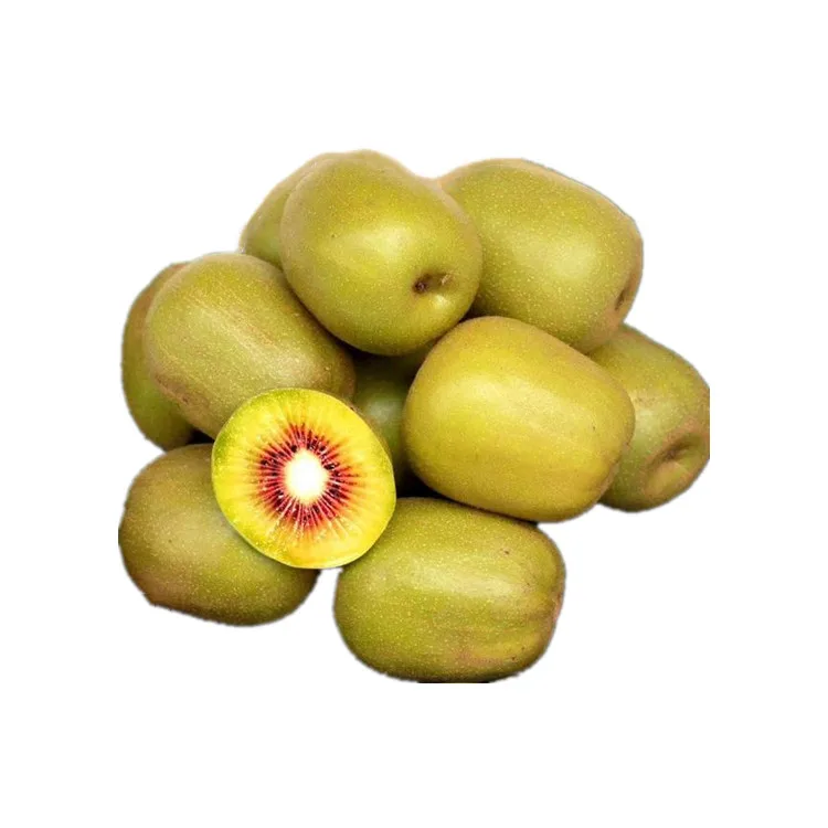 Chinese fresh high quality design ventouse kiwi fruit price
