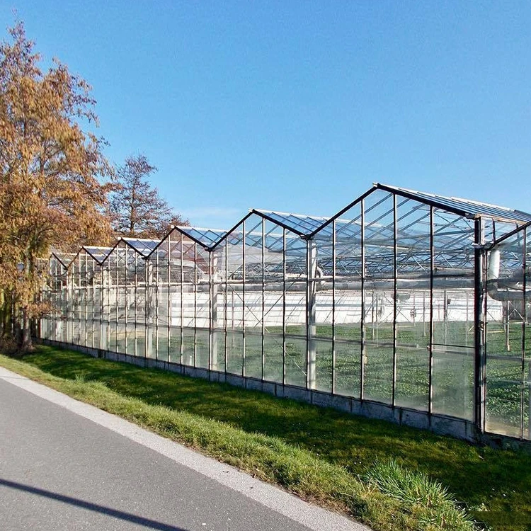 Glass greenhouse Ecological Restaurant Vegetable and Fruit Planting Greenhouse Agricultural greenhouse