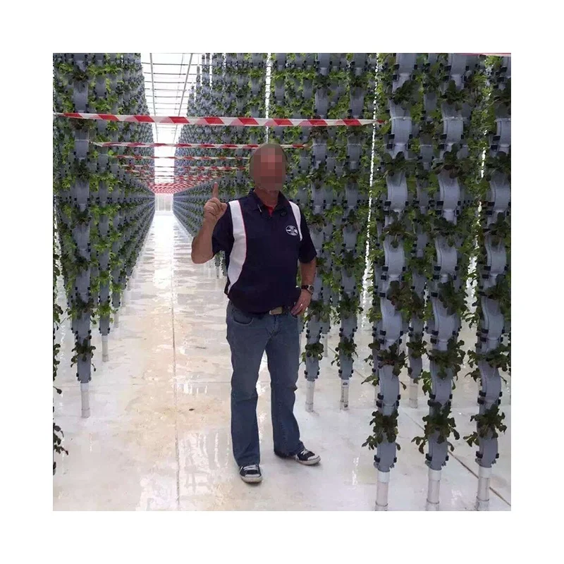 Вертикальная гидропонная аквапонная система NFT для коммерческих сельскохозяйственных теплиц