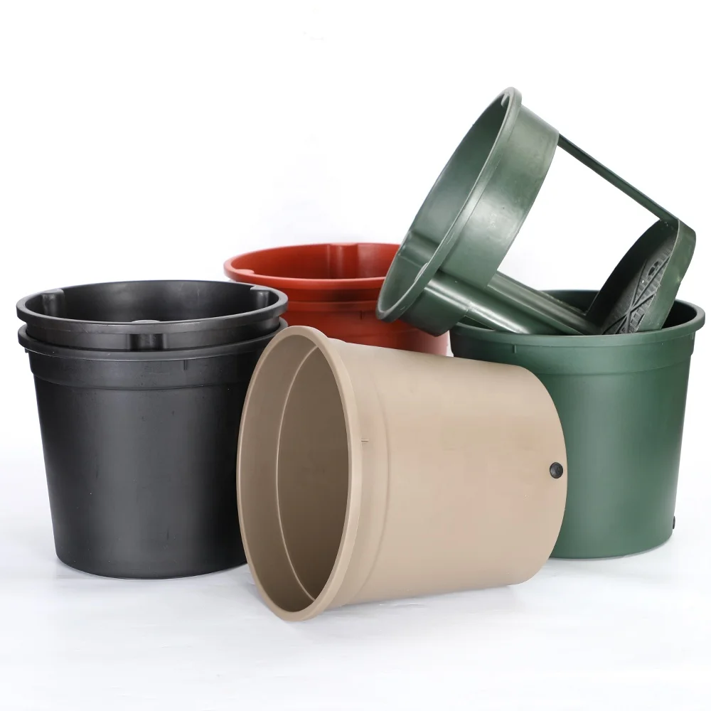 easter pot plant adenium plant pot potted plant mover