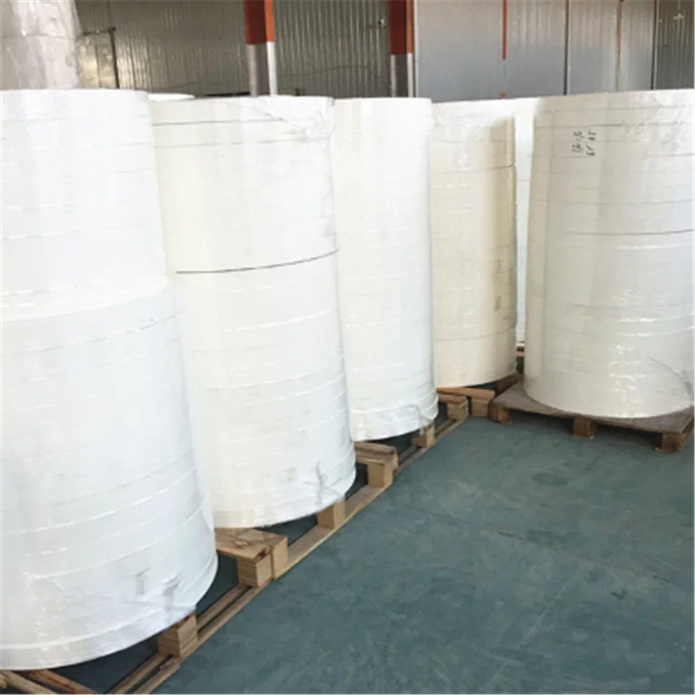 Paper cup raw material for paper cup and paper bottom