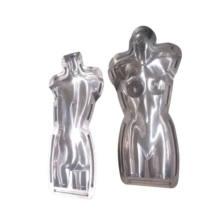 Rotomolding plastic male mannequin upper body medical