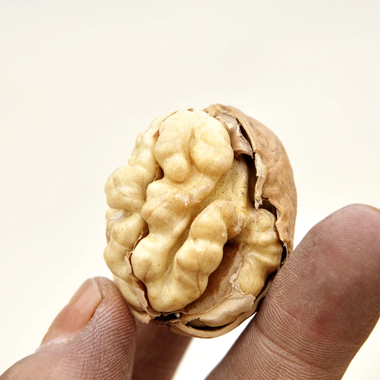 2020 новый урожай, хорошая цена, низкая цена, оптовая продажа, неочищенные грецкие орехи