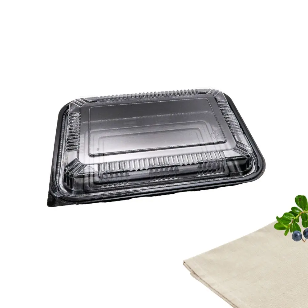 Competitive Price Japanese Plastic Food Container Disposable Take Out togo Meal Prep Plastic Packaging Box for Food