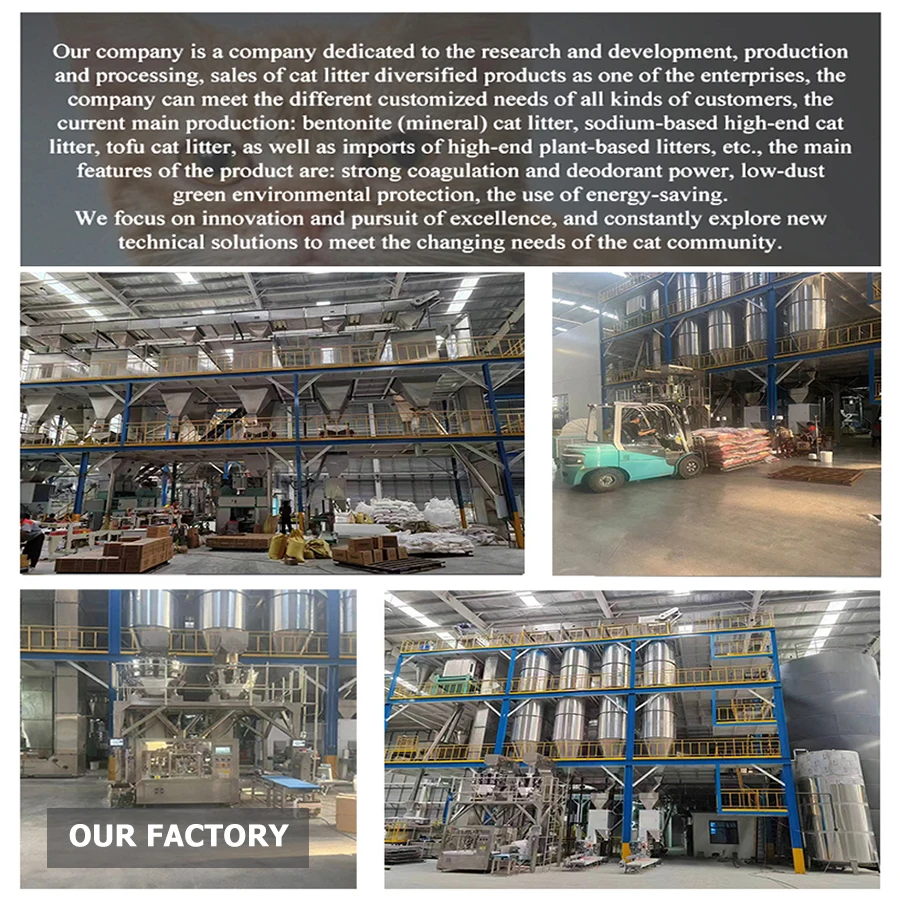 Зерновой корм для кошек 10 кг несколько форм различные вкусы премиум-класса сухой