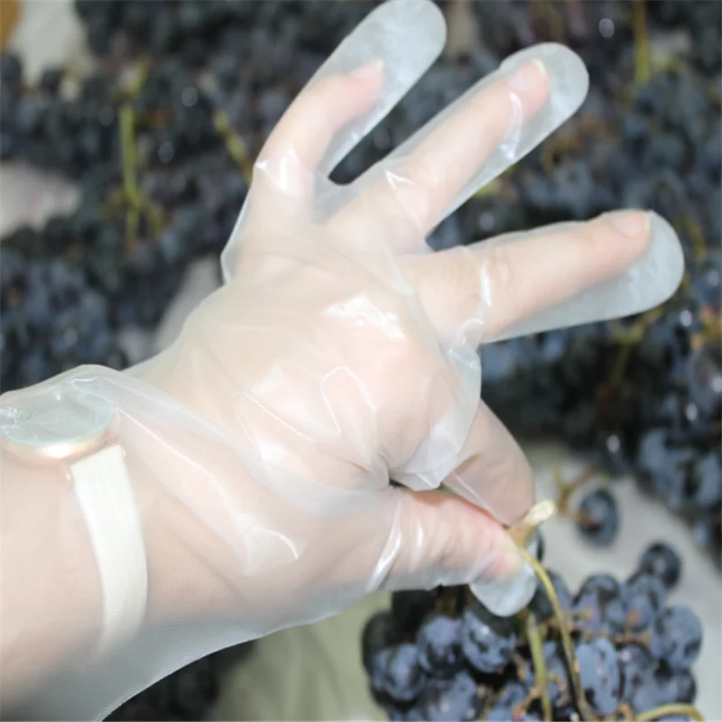 disposable pe kitchen tpe glove for food service