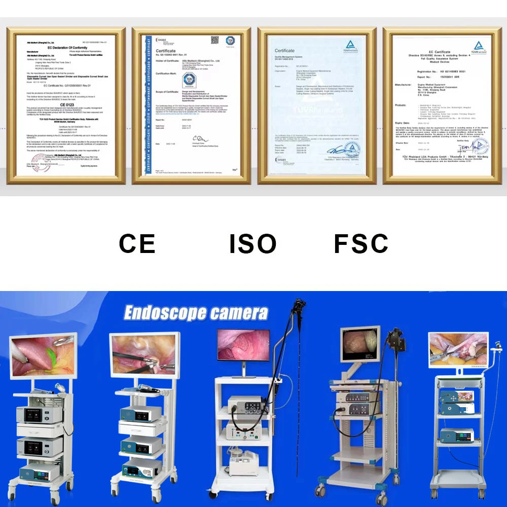 Medical Equipment Video Endoscope Camera System Device Endoscope Camera System for Laparoscopy Ent Gynecology