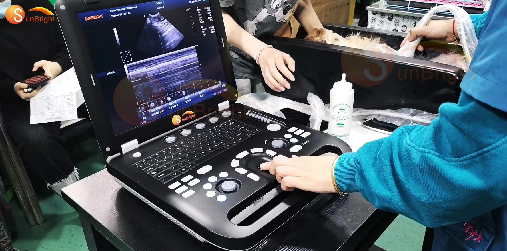 2 set software human and animal use Laptop Ultrasound Scanner Machine with probe