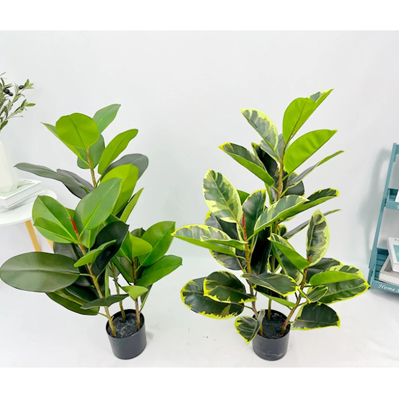 Simulated Indian Banyan Rubber Banyan Potted White Edged Rubber Banyan Bonsai Tree