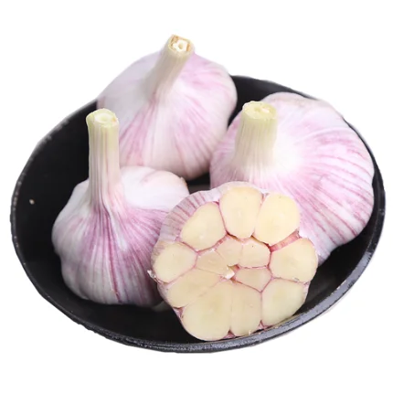 Chinese factory normal white galic 5.0 fresh garlic wholesale price