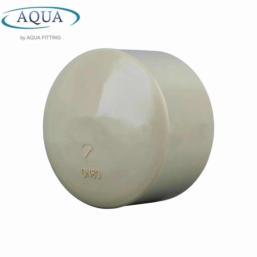 Socket Plastic Pipe Fitting PVC Pph Water Pipe End Cap