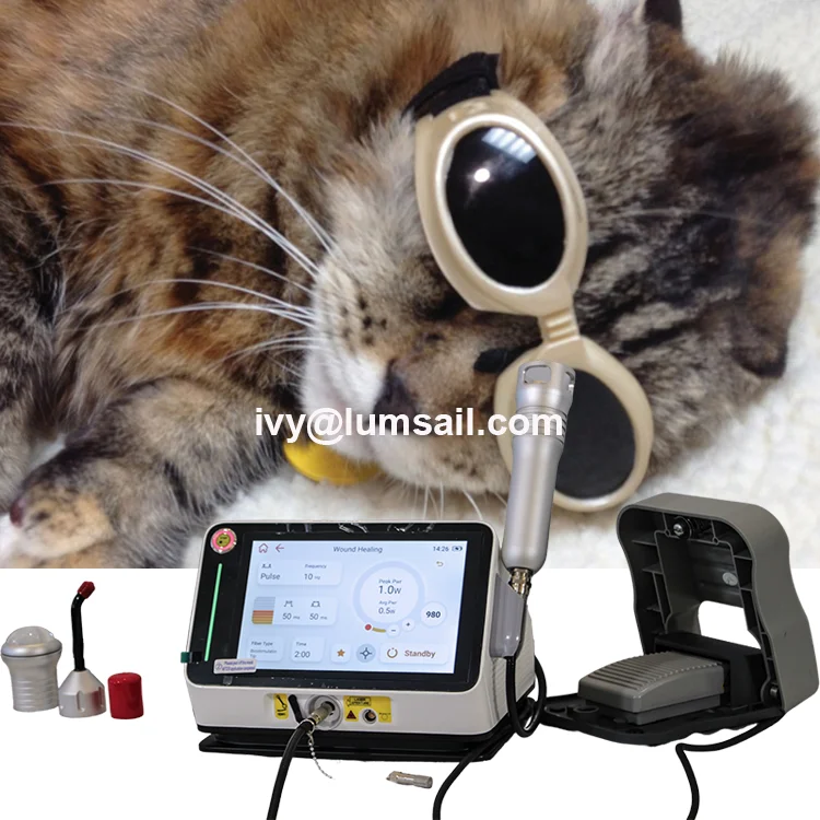 veterinary 0713 1.png