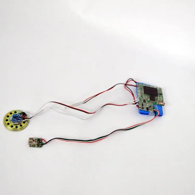 Hot selling musical greeting card with sound chip shenzhen factory music module