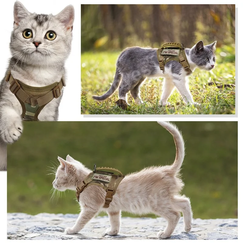 Custom Nylon Tactical Adjustable Pet Cat Harness And Leash Luxury Dog Harness