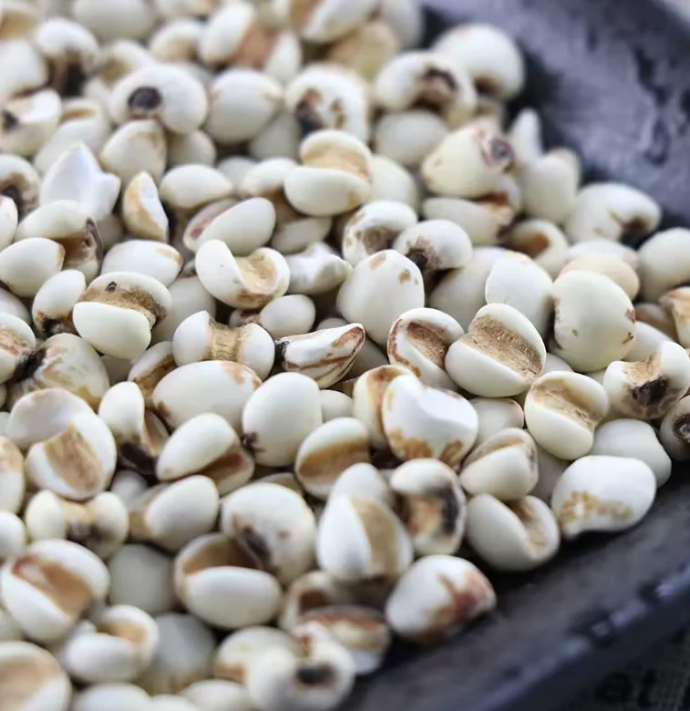 Customized Barley Grain Malt Hulled at Competitive Price