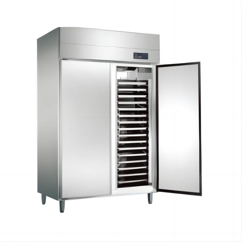 Indoor Durable Professional Upright Chiller Kitchen Freezers Commercial Refrigerator