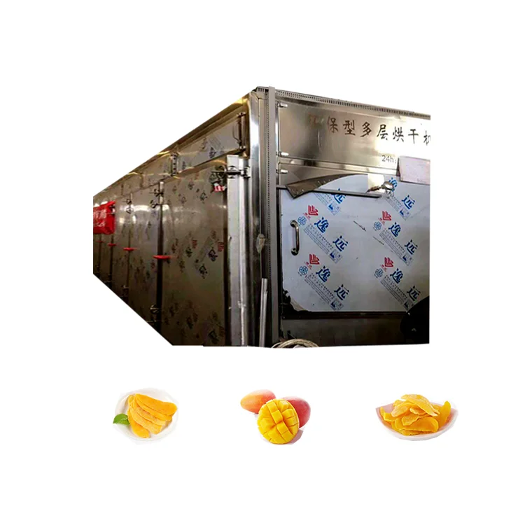 Frrut Vegetable belt dryer machine vacuum mesh belt dryer drying machine