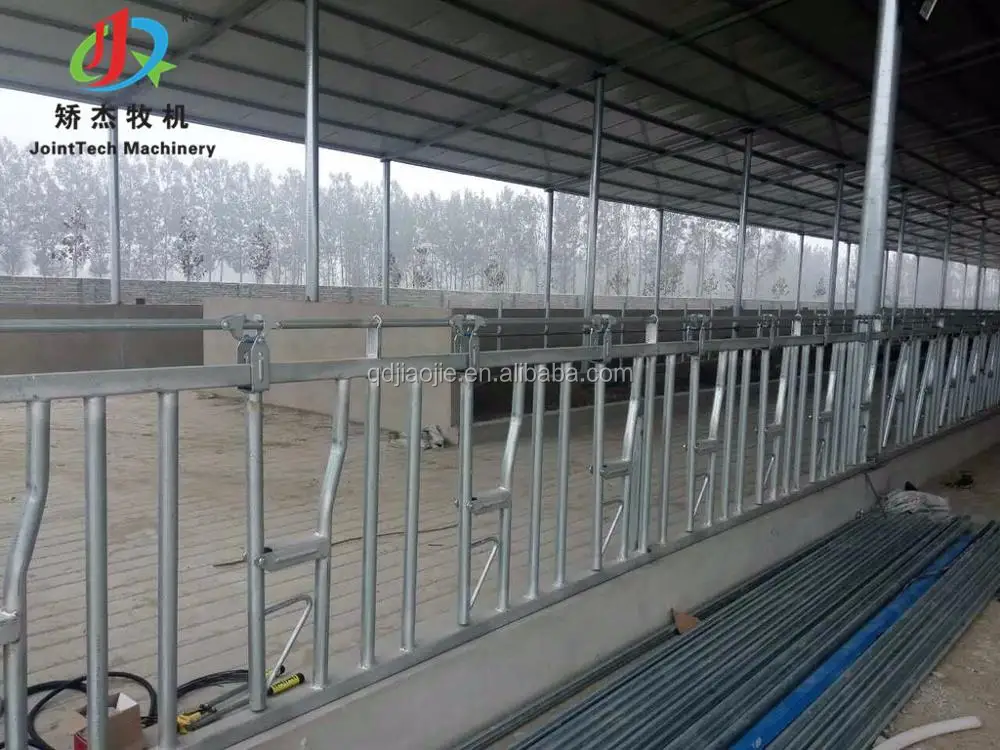 Cattle Headlock Gate Heavy Duty Cow Feeding Gate Panel with Galvanized Tube