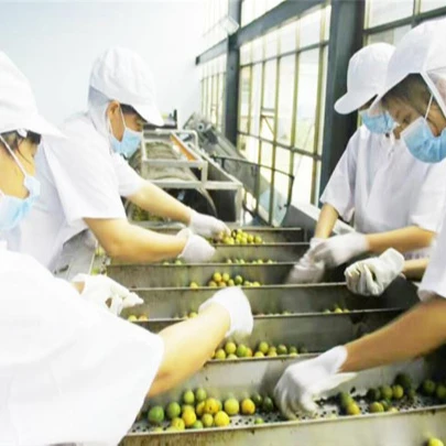 
Аппарат для измельчения абрикоса, коммерческая линия по обработке персикового пюре, высокопроизводительный дизайн для удаления косточек и измельчения 