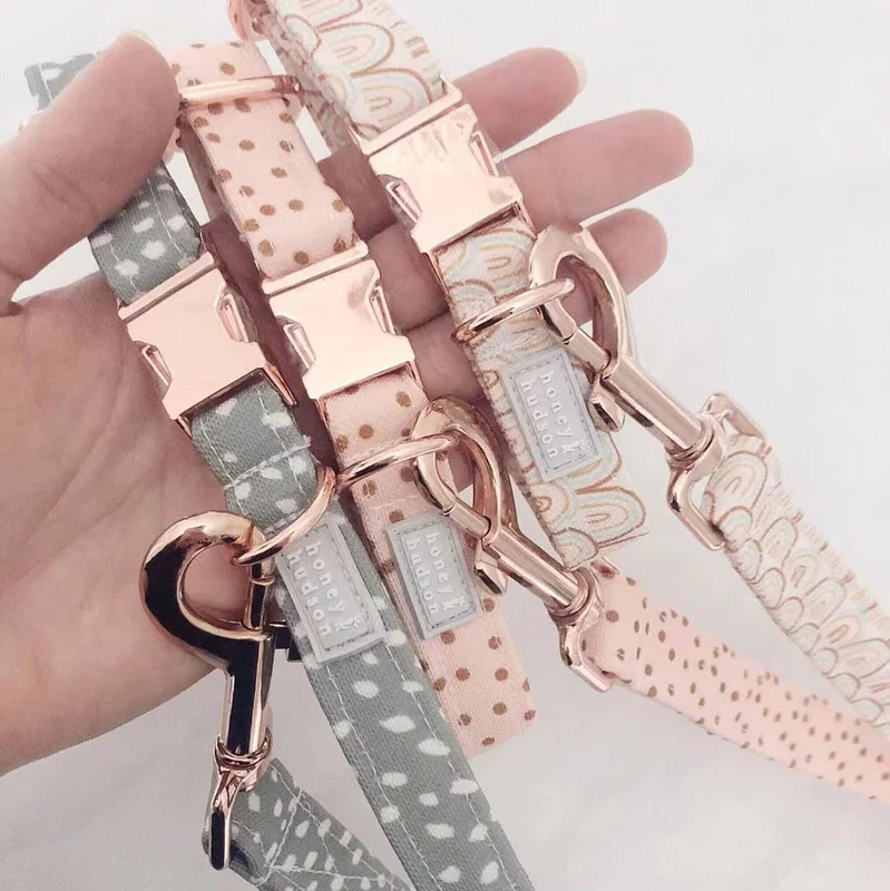 Oem Custom Leash Luxury Personalized Logo Adjustable Pet gold sliver accessories Dog Collar and leash