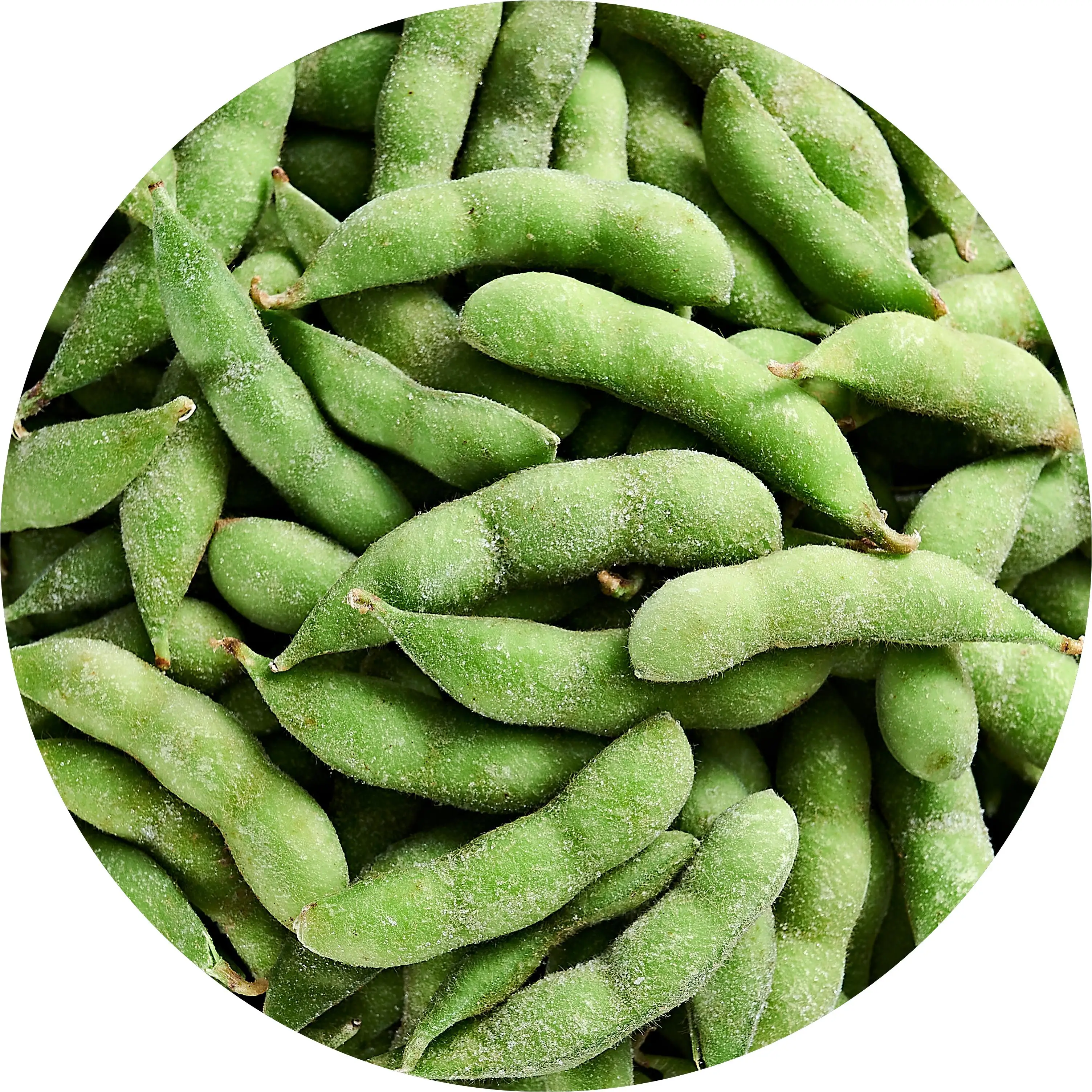 factory direct sales iqf frozen edamame beans in pods wholesale and export of frozen edamame beans in pods