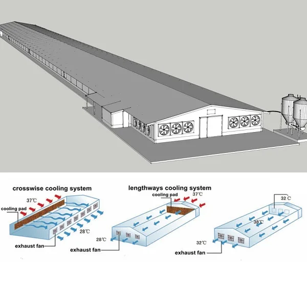 Конструкция бройлера для птицефермы с оборудованием поднятия