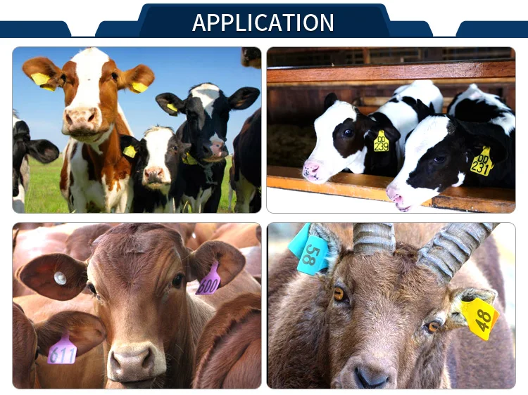 Custom made eartags cattle rfid ear tag cattle ear tag animal tagger with laser printing for goat cow sheep pig