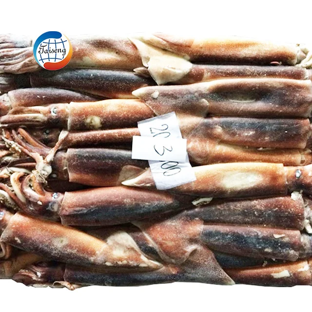 Замороженный гигантский кальмар, лигого кальмар