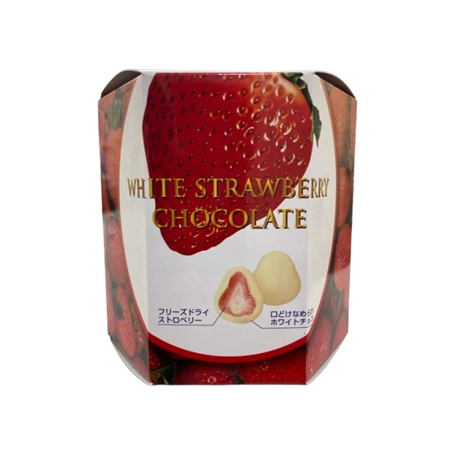 Bulk Buy Chocolate Supplier Wholesale with One Whole Strawberry