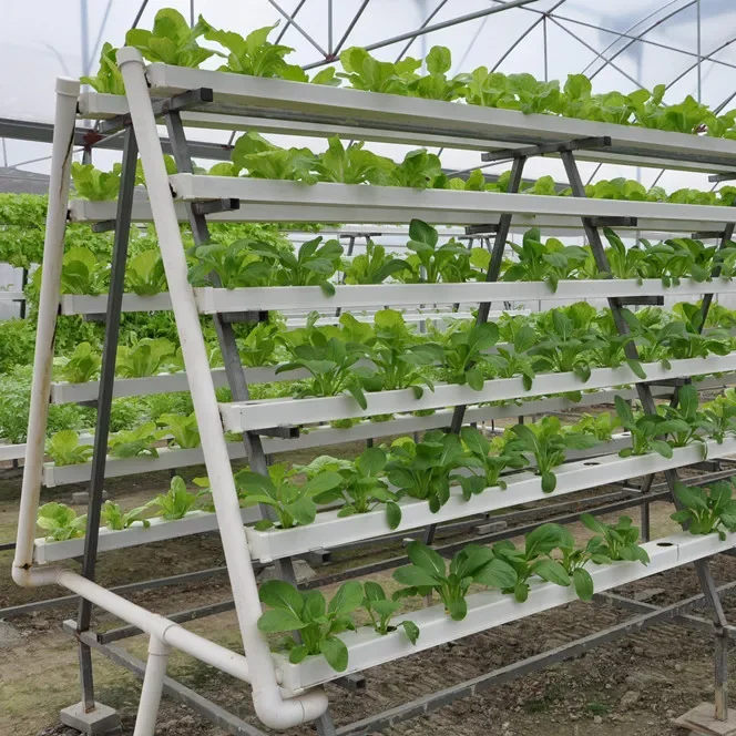 Система выращивания беспочвенных культур для перемещения водостоков гидропоники в теплицах