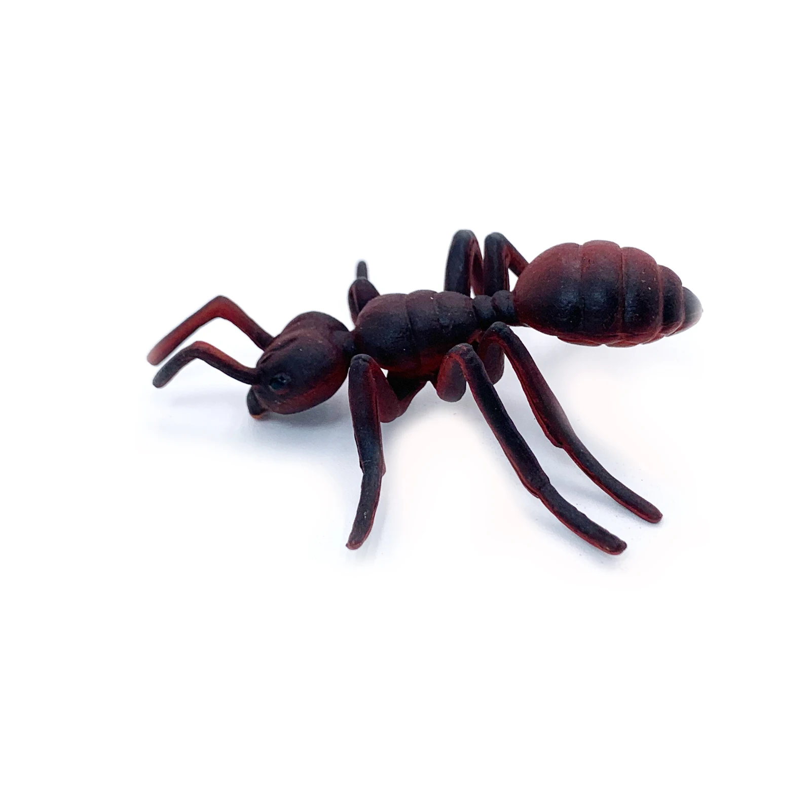 Wildlife Realistic High Quality PVC Plastic Animal Figure Toys Realistic Eco-friendly Anima  Red Ant Toys
