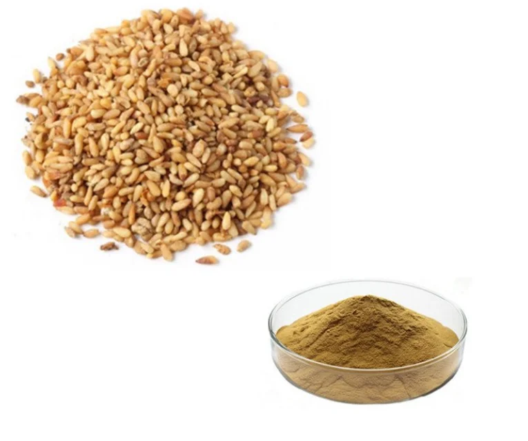 Seman platycladi Extract Powder Saponins