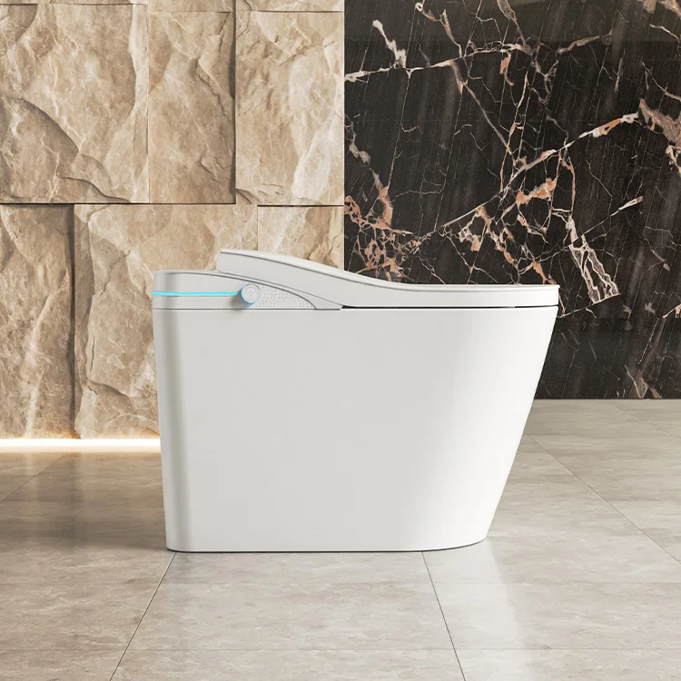 New Model Japanese Black Bidet Smart Toilet Dual Flush Siphon Flush Luxury One Piece Toilet