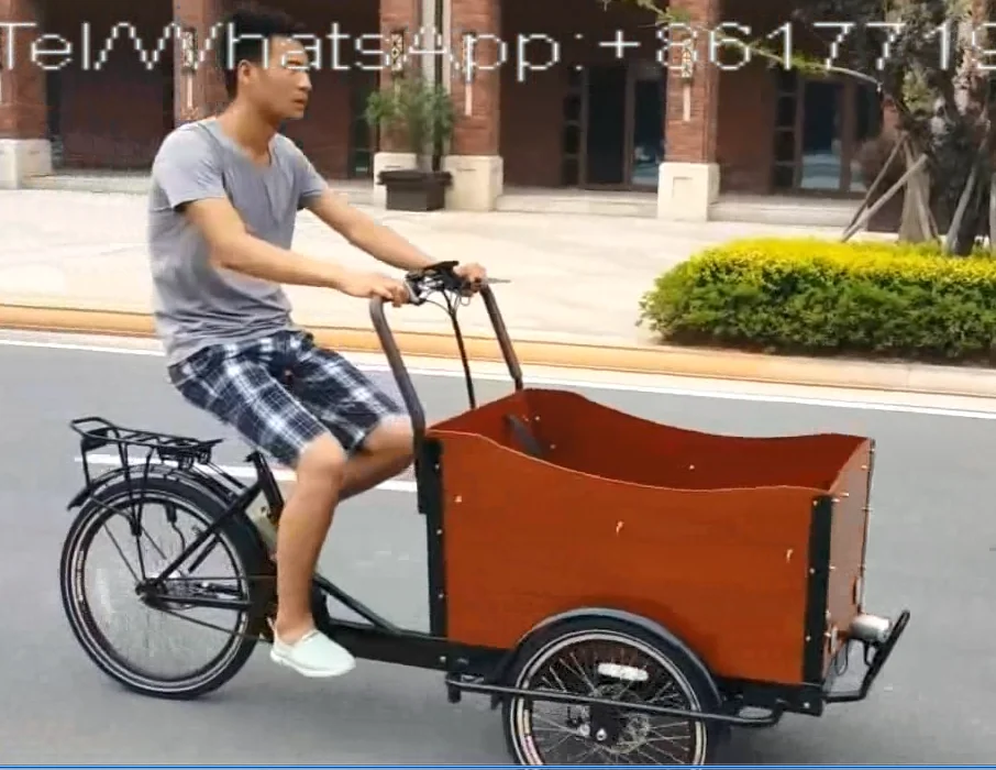 China Loading 200kg cargo bike pickup truck crane three wheel cargo tricycle for sale in philippines malaysia