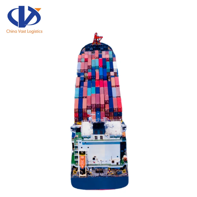 Xiamen China International Freight Forwarder to Montreal Canada Ocean Container Service FCL Shipping Agent