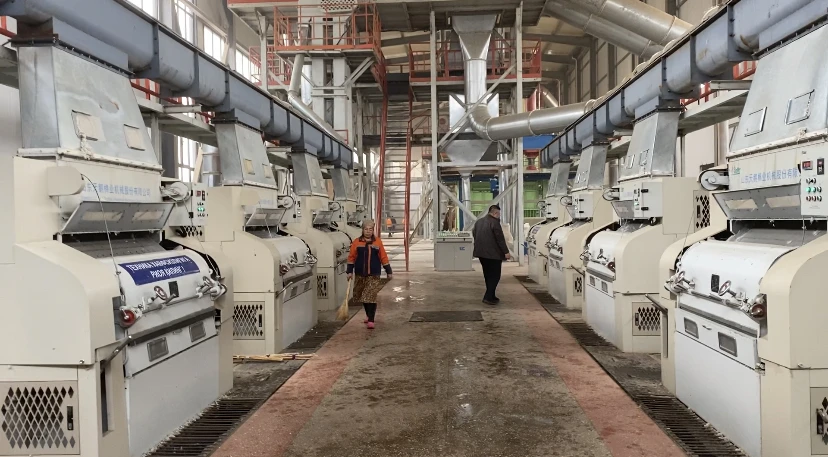 delinting machine, cotton seed processing machinery, delinter, cotton ginning plant