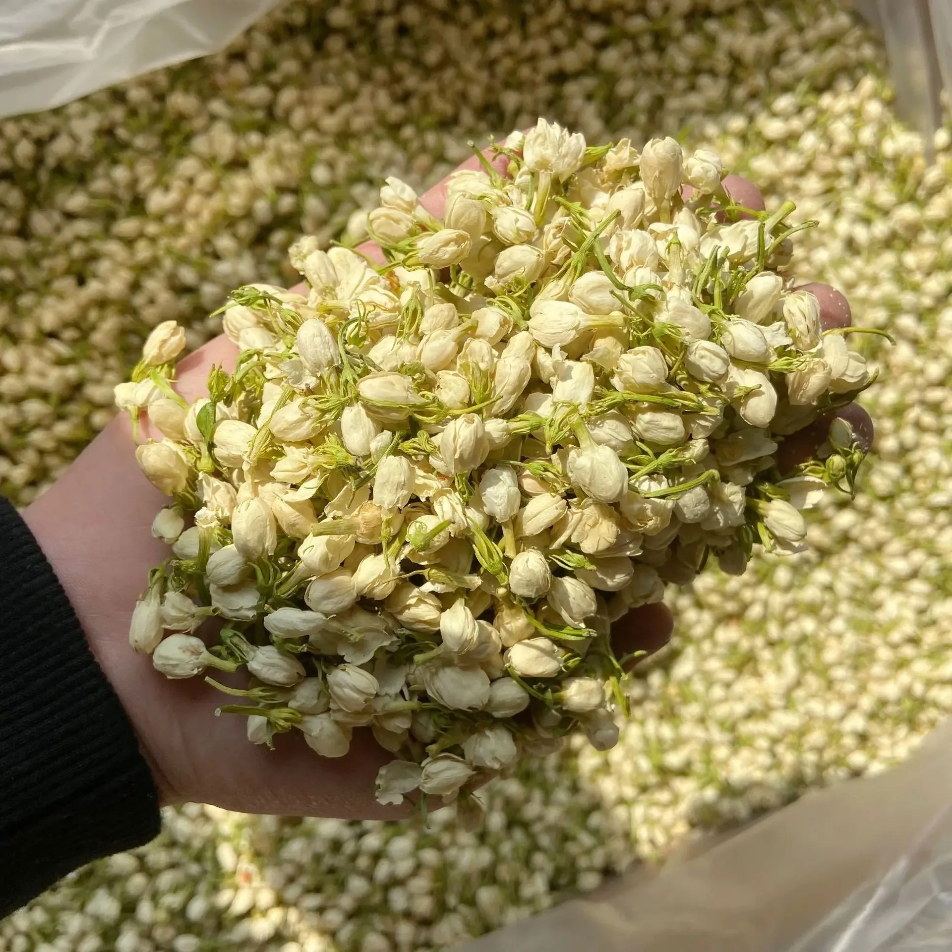 Chinese artificial jasmine buds paper jasmine buds food grade