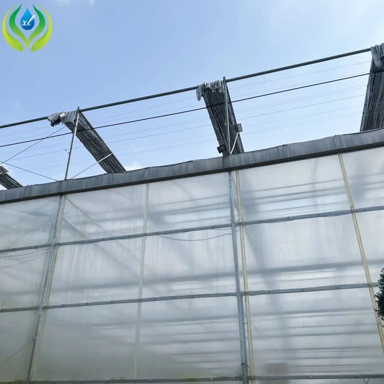 MYXL green house  uv plastic polycarbonate sheet panel greenhouse structure