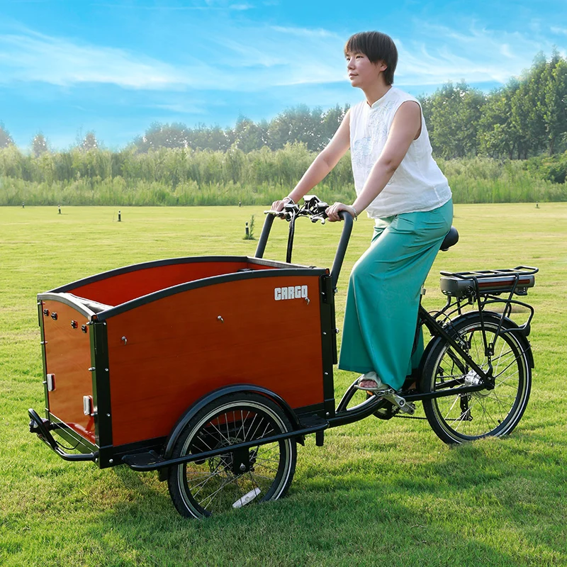 electric delivery goods bikes small cart bike cargo bike factory sale price