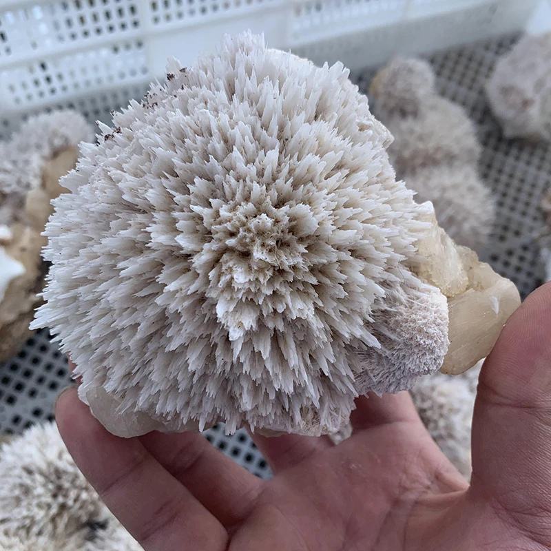 Wholesale natural high quality raw rough zeolite stone crystal quartz Mineral specimens